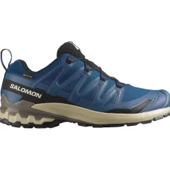 Herren Xa Pro 3D V9 GTX Schuhe