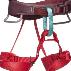 Kinder Momentum Klettergurt