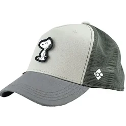 Peanuts Transformer Curved Cap