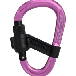 Smart HMS 2.0 Screwgate Karabiner