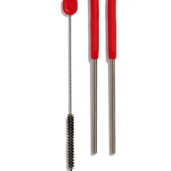 Stainless Steel Straw Set