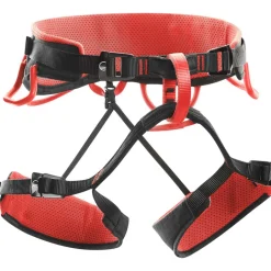 Syncro Klettergurt
