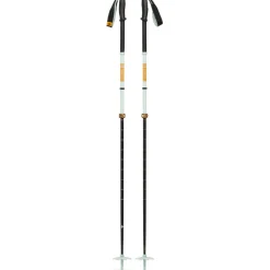 Traverse Pro Skistöcke