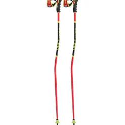 WCR GS Carbon 3D Skistöcke