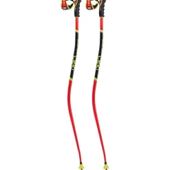 WCR SG/DH 3D Skistöcke
