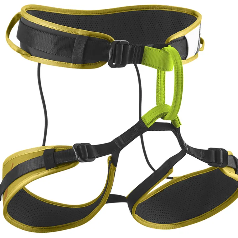 Zack Gym Klettergurt